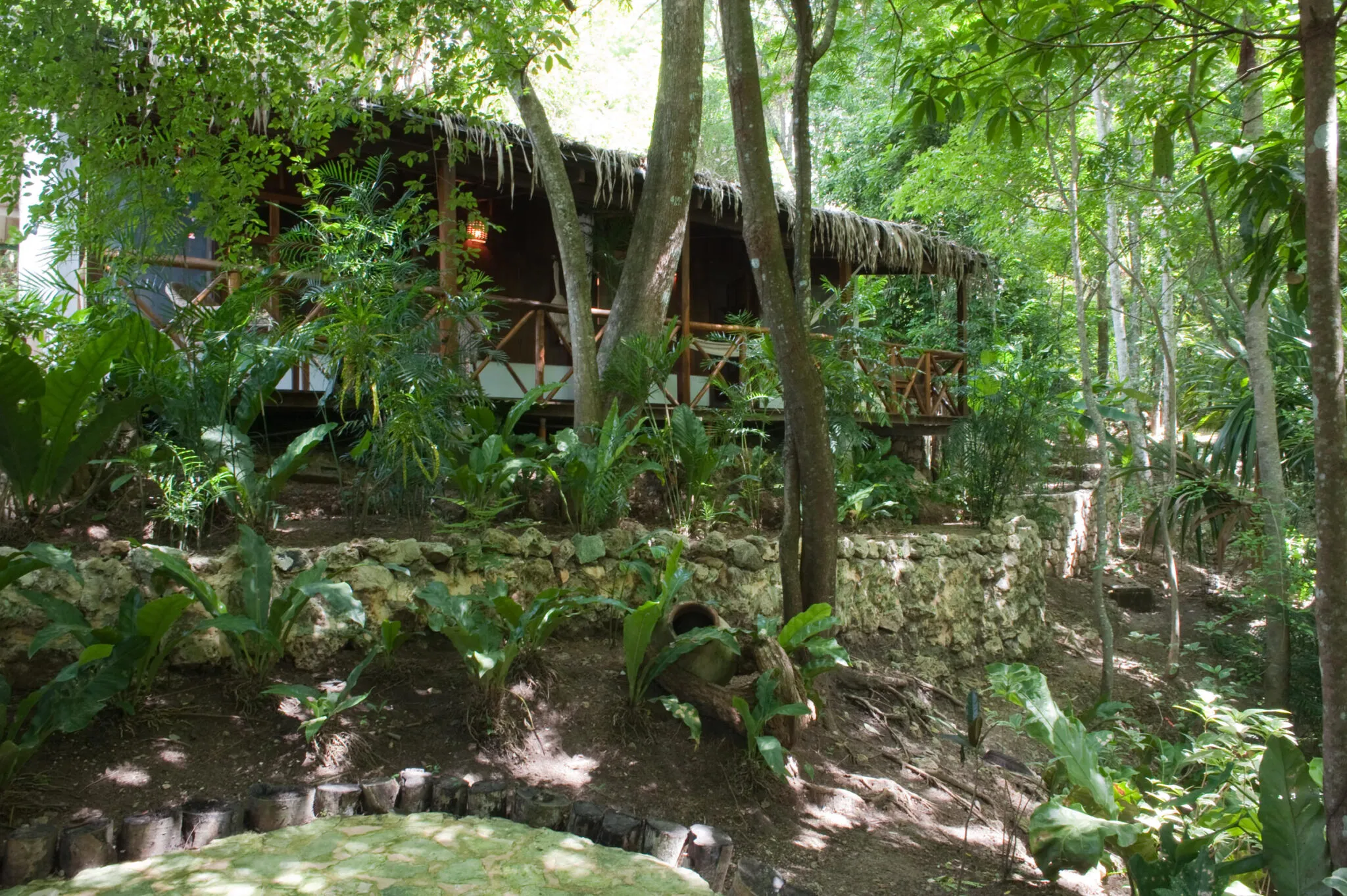 The front of a Rainforest Casita, surrounded by trees.