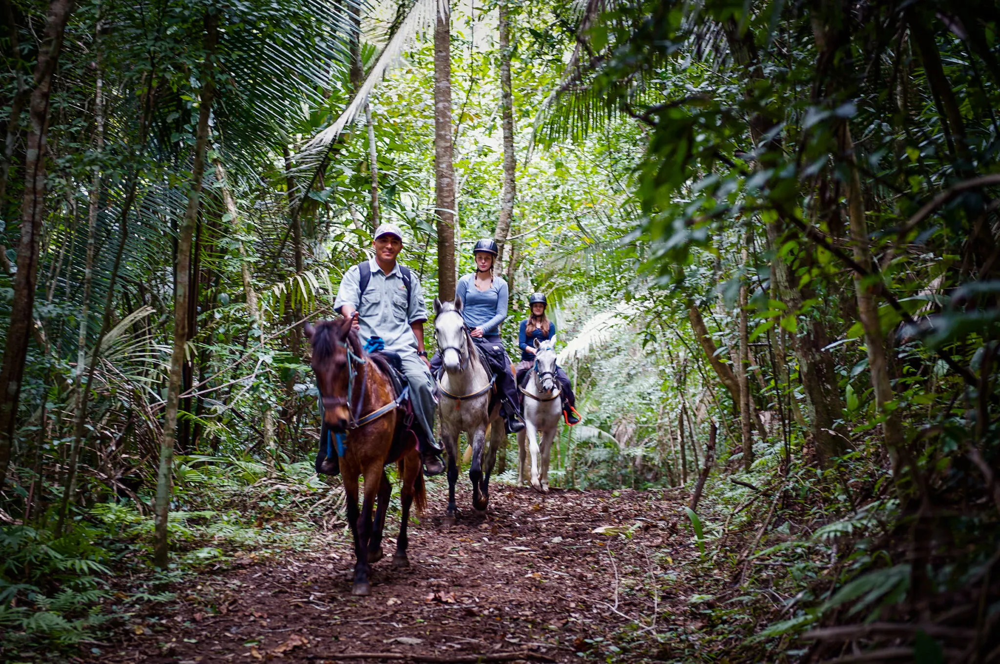 People ride horses through the woods