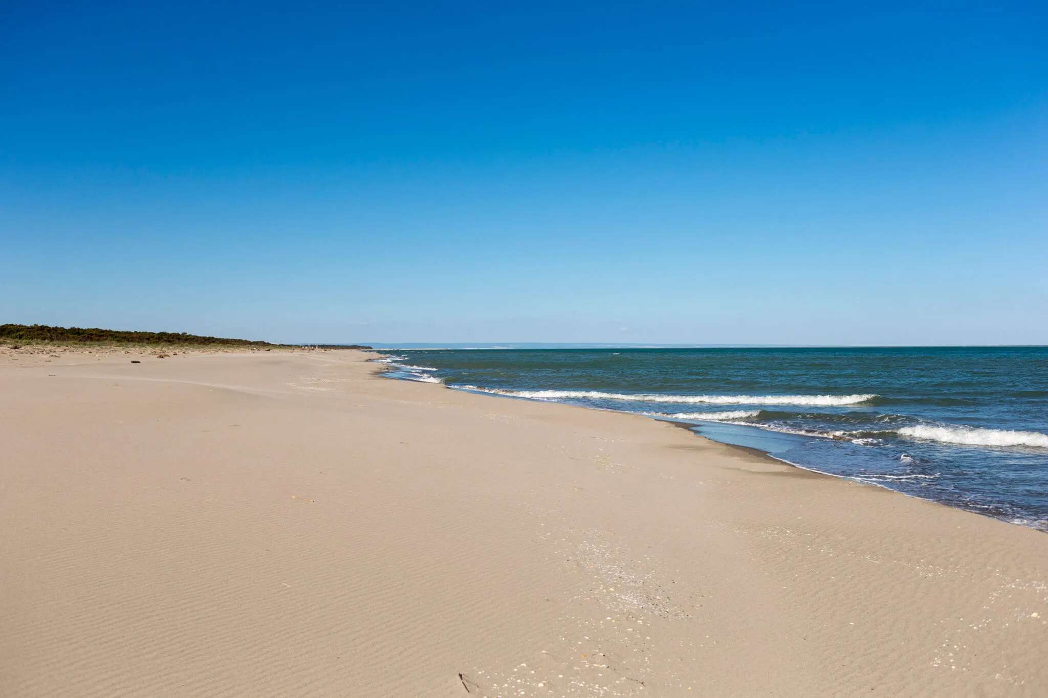 The shoreline and ocean