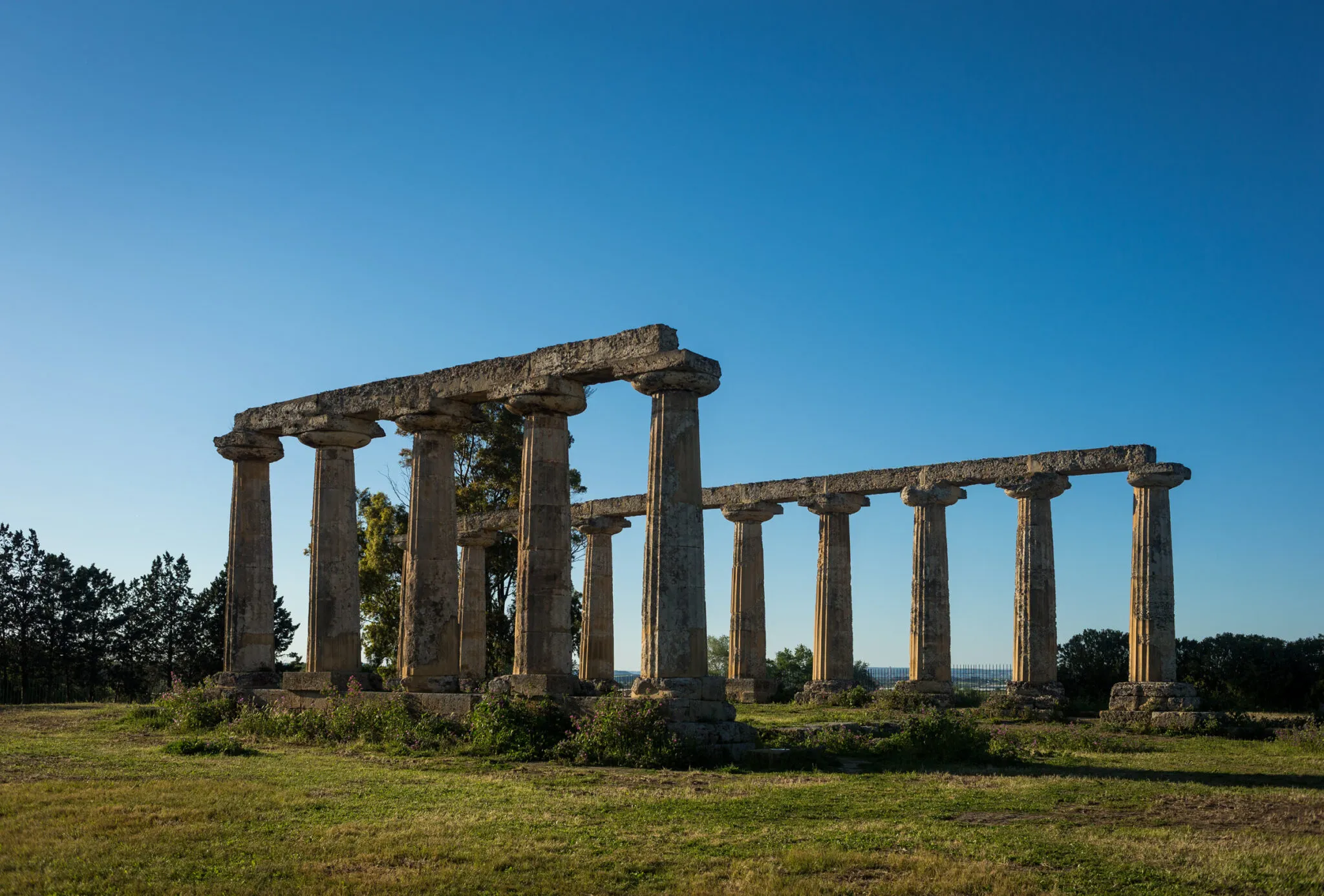 Hera Temple, Metapontum