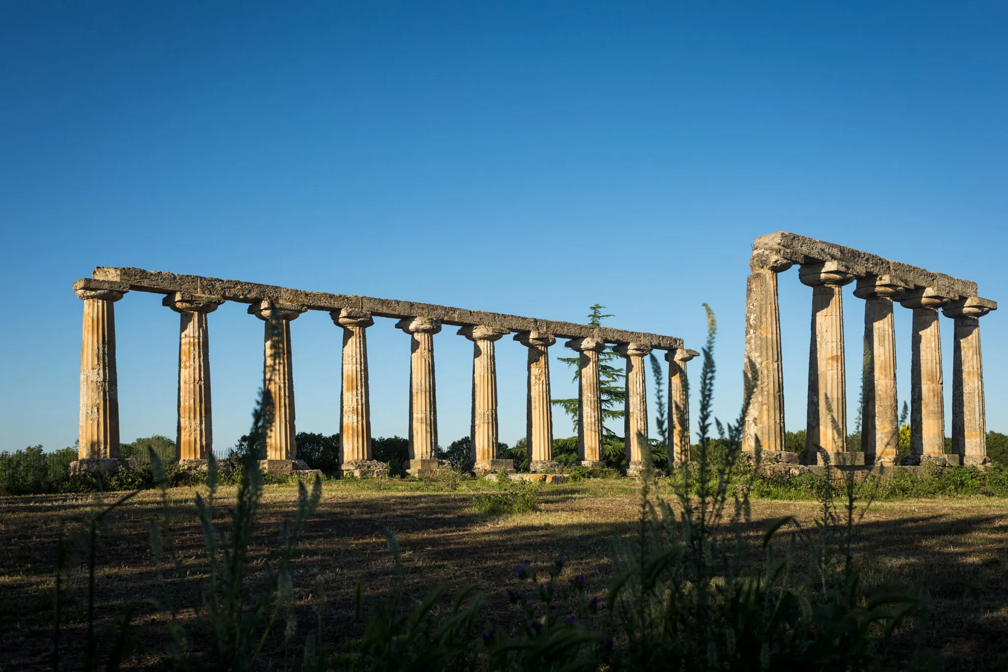 Ancient columns at Hera Temple