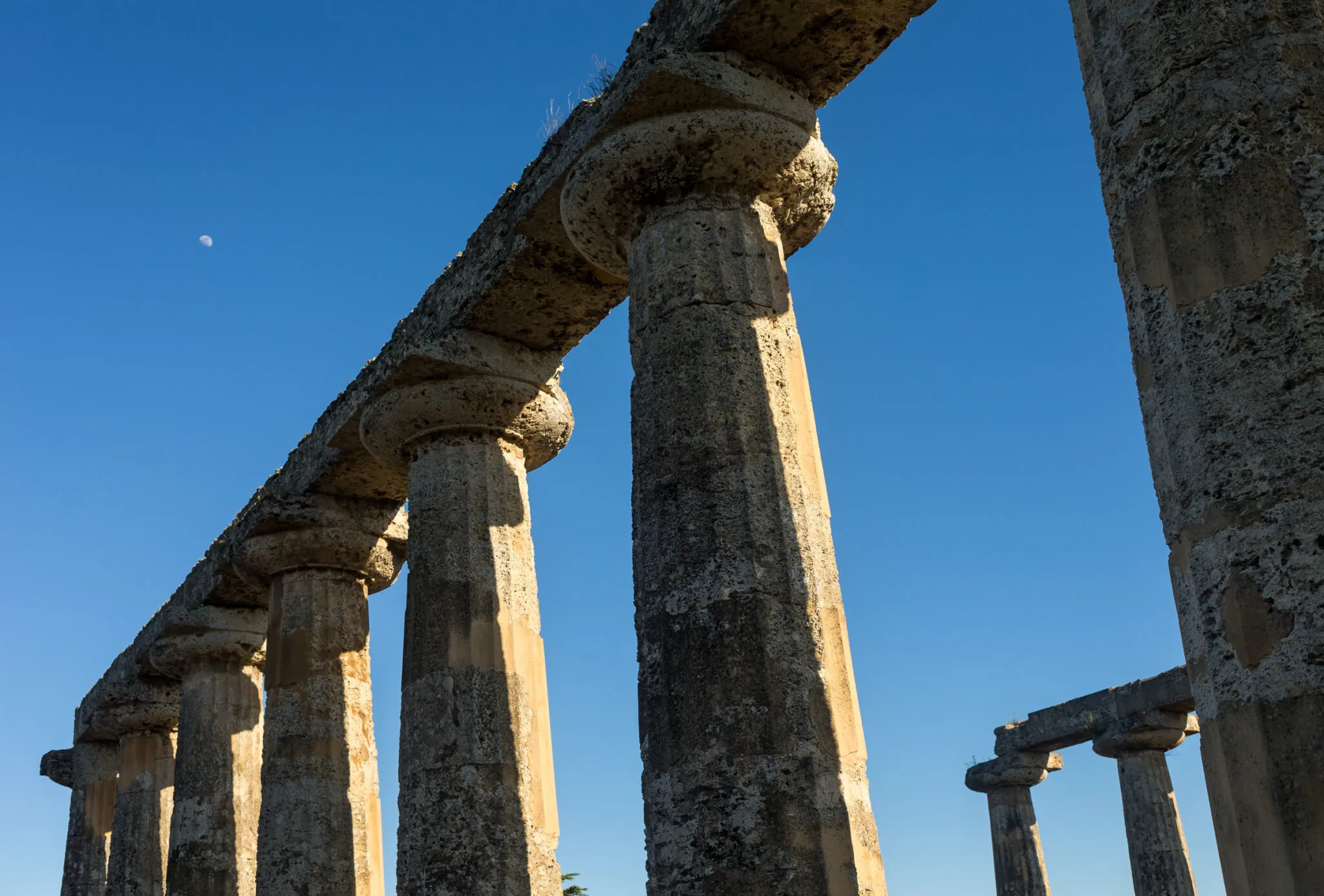 Close up of columns