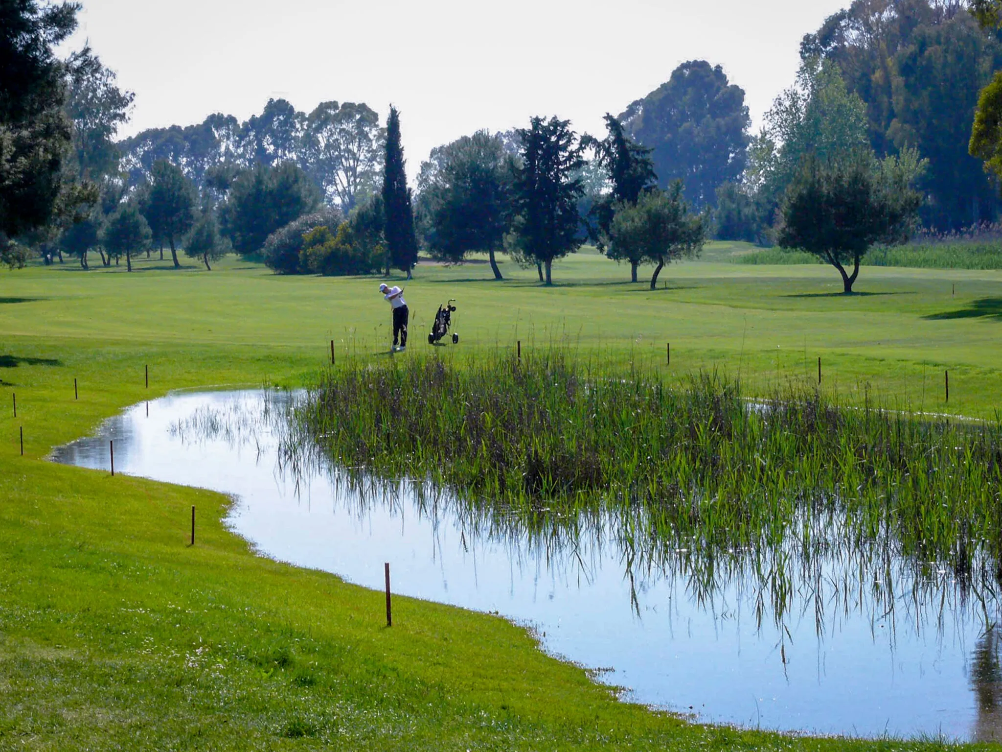 A man golfing near a small pond