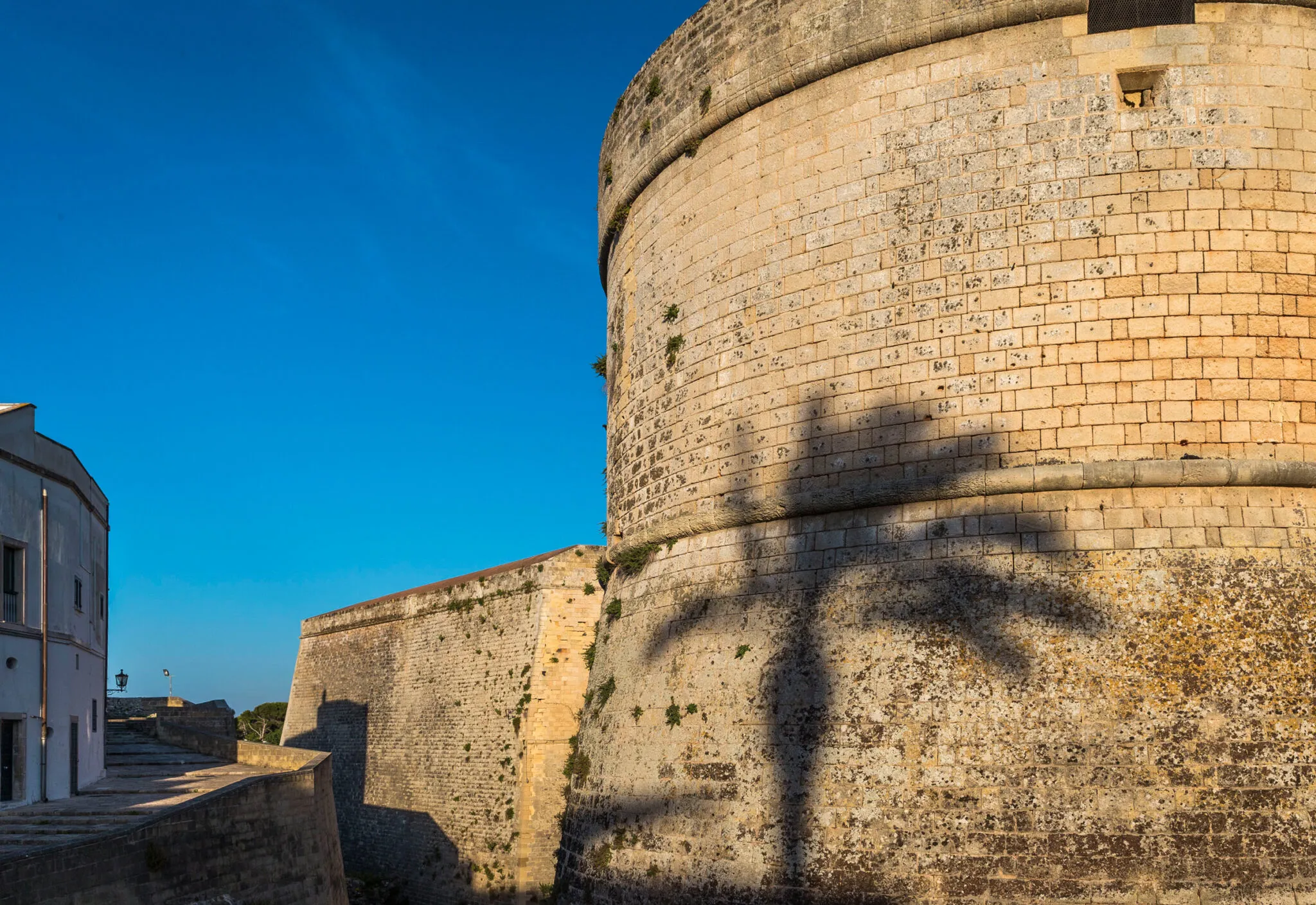 A rounded brick building with the shadow of a palm tree on it