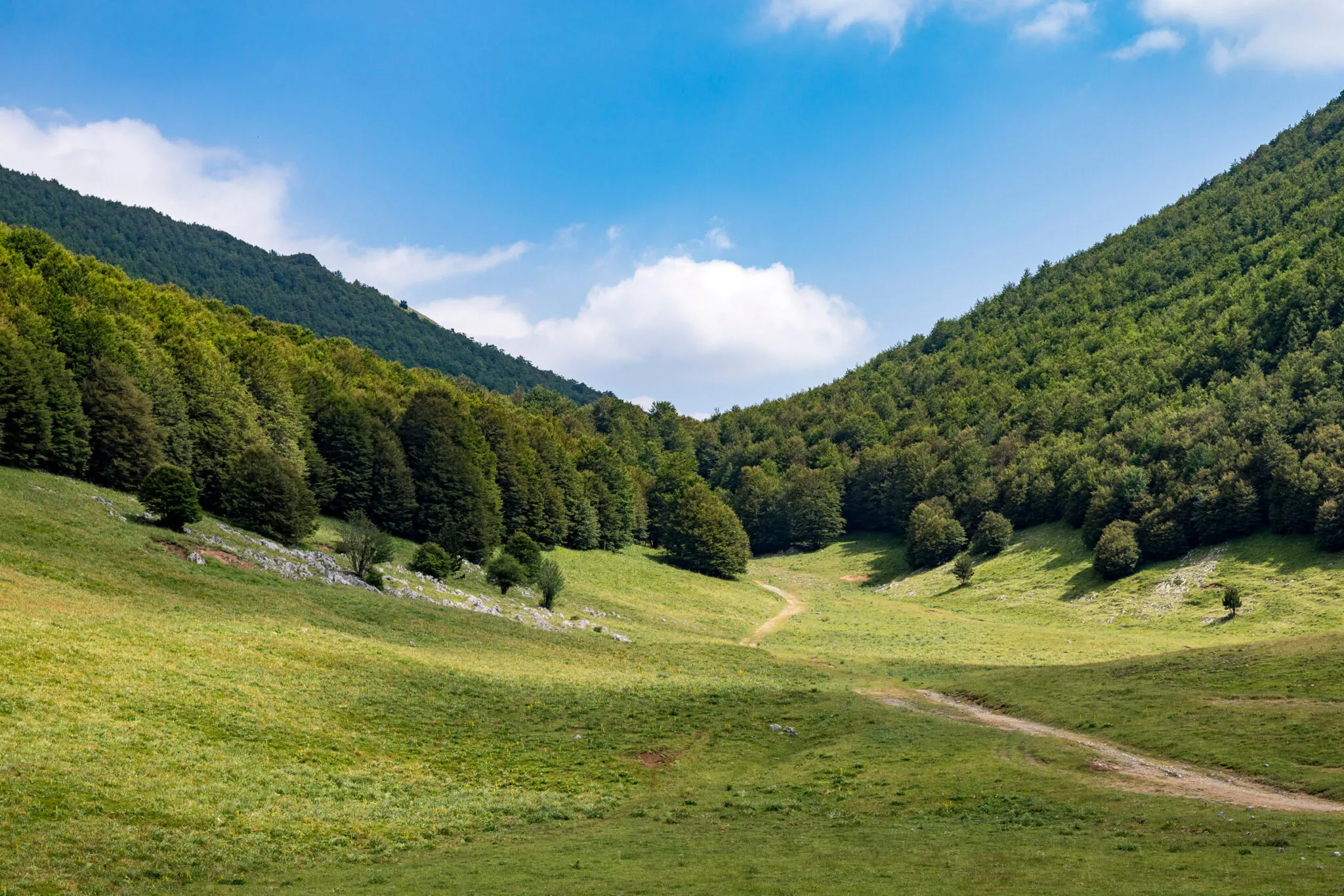 A trail in a valley between tree-covered hills