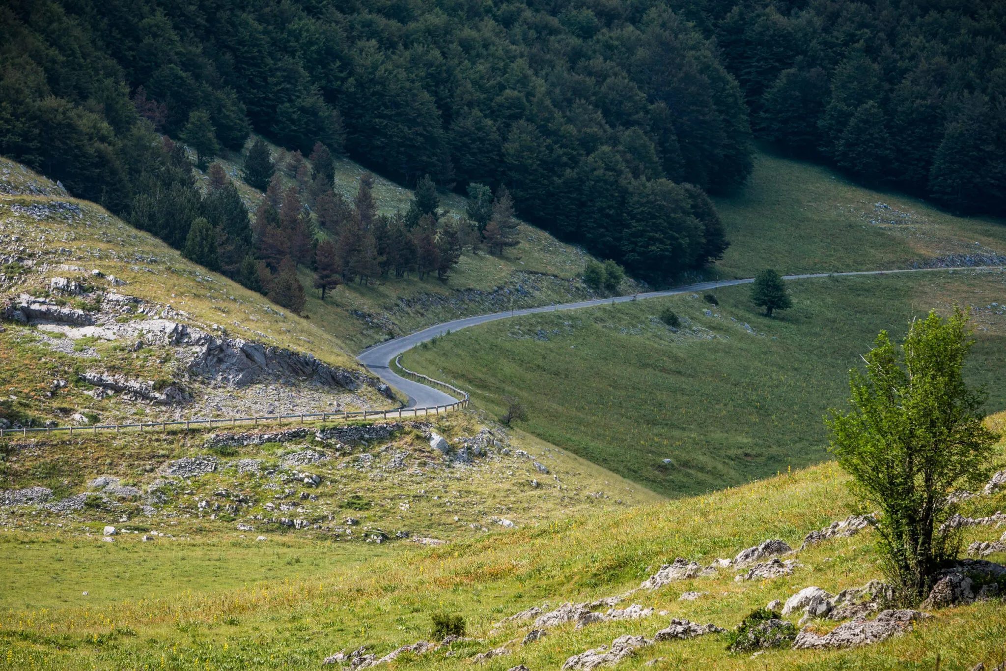 A winding road at the base of the mountains