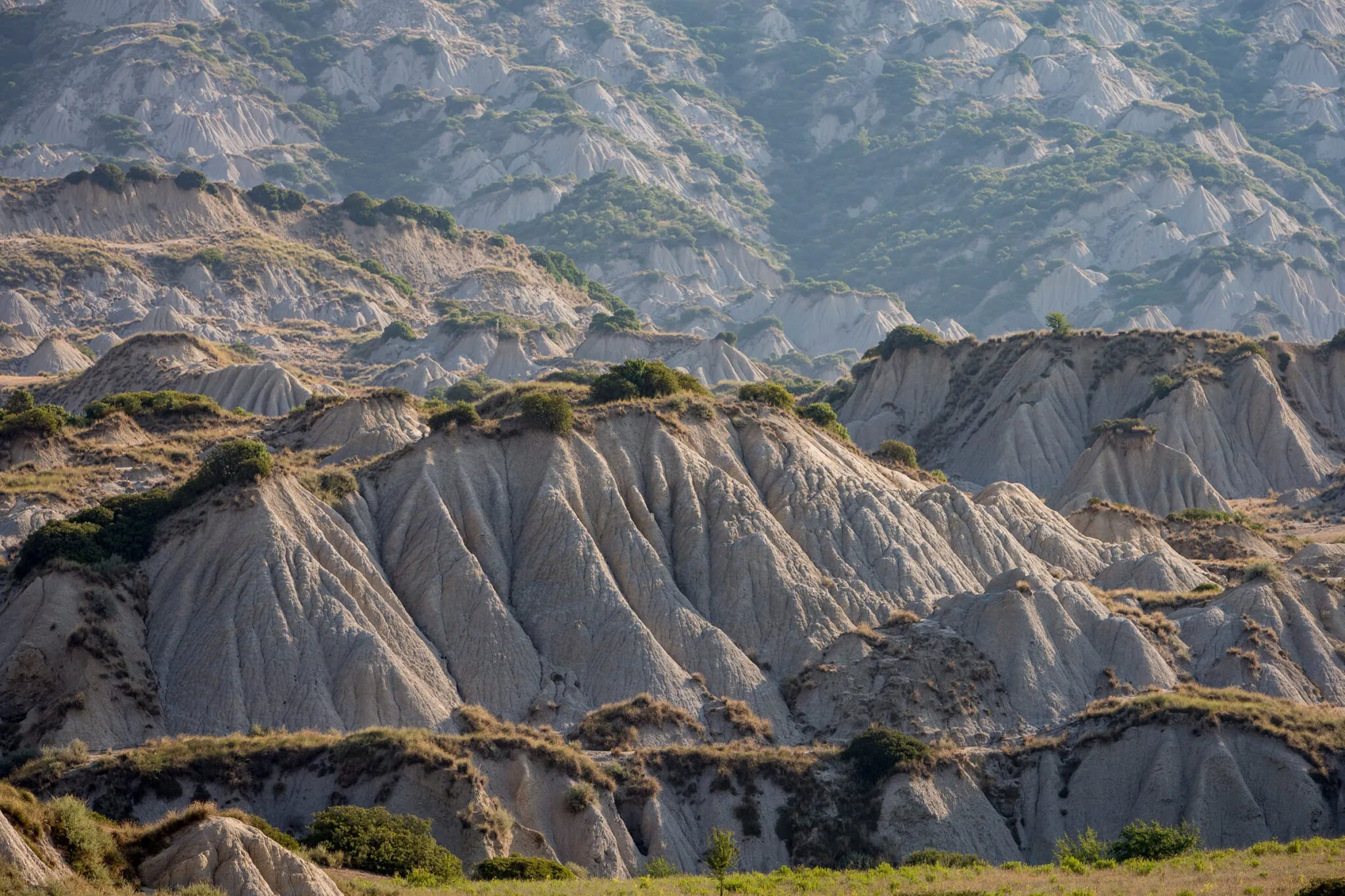 rocky hills topped with brush