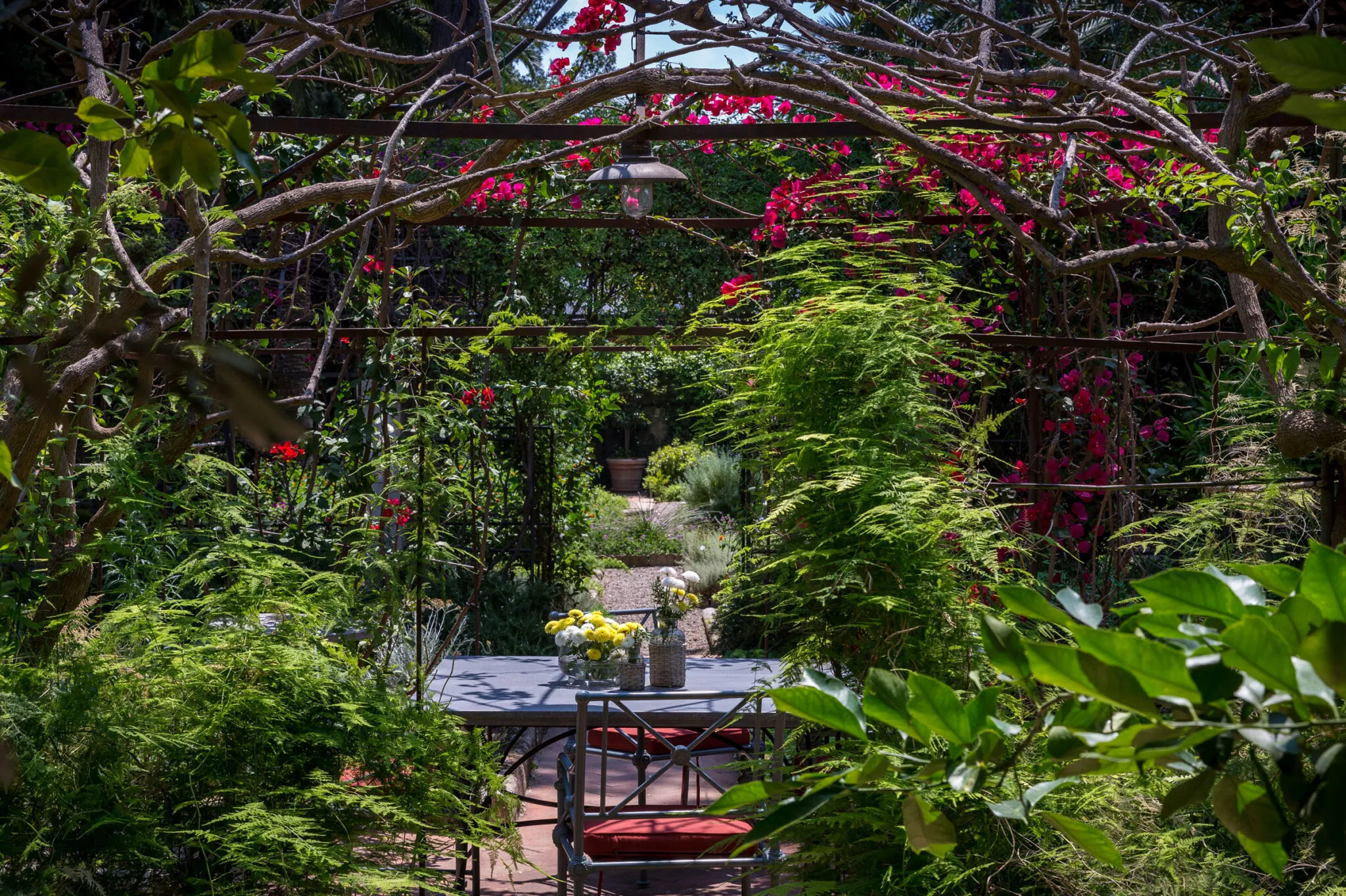 a dining table under arched vines