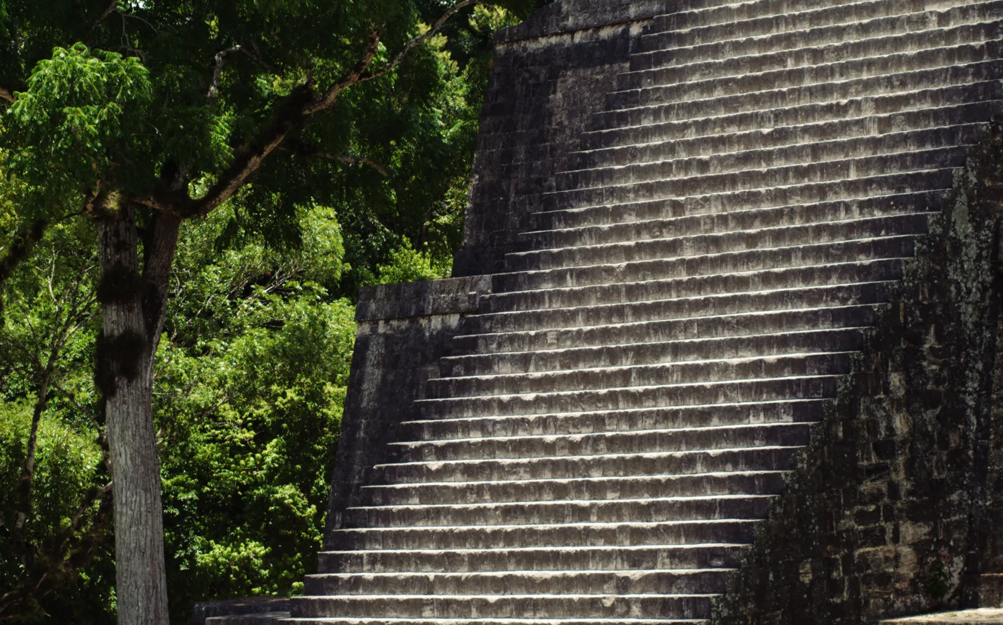 Steps at Tikal Guatemala