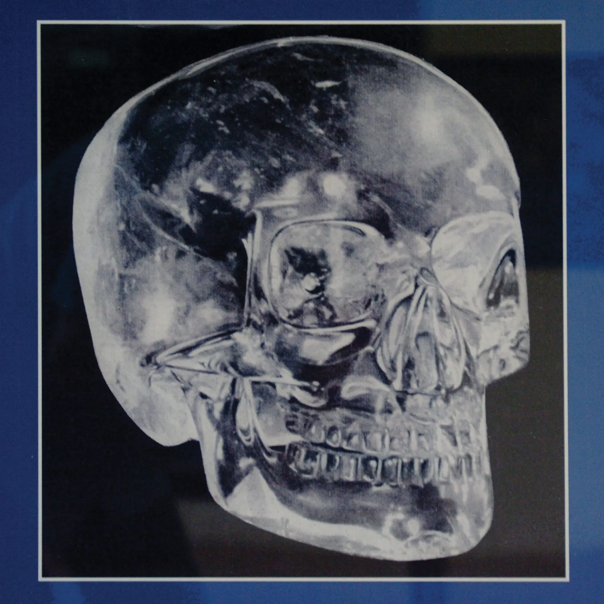 An image of a skull