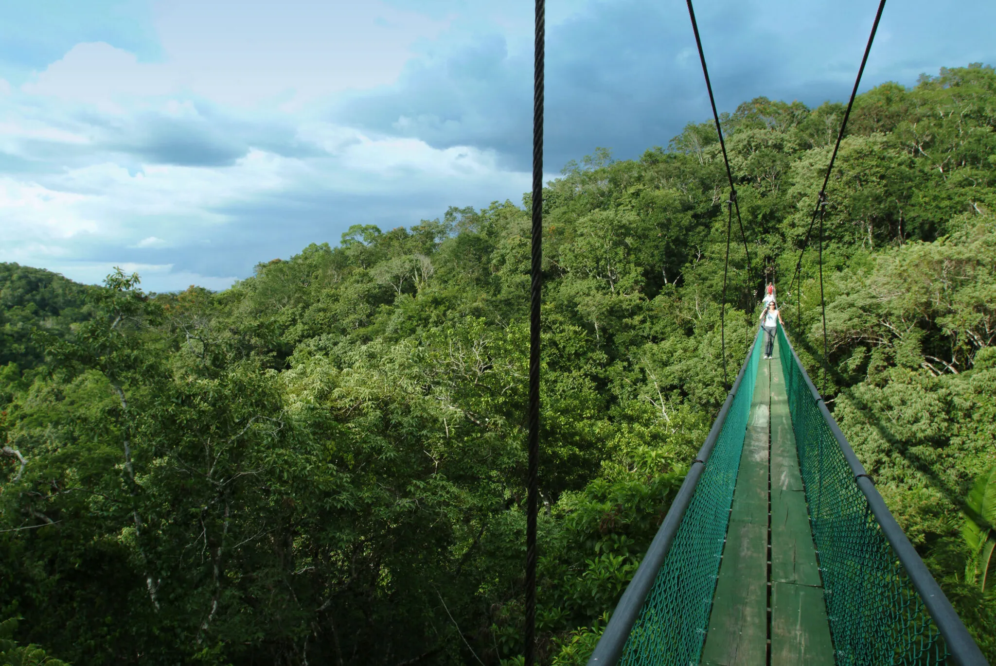 A view of the surrounding landscape from the Ixpanpajul Skyway.