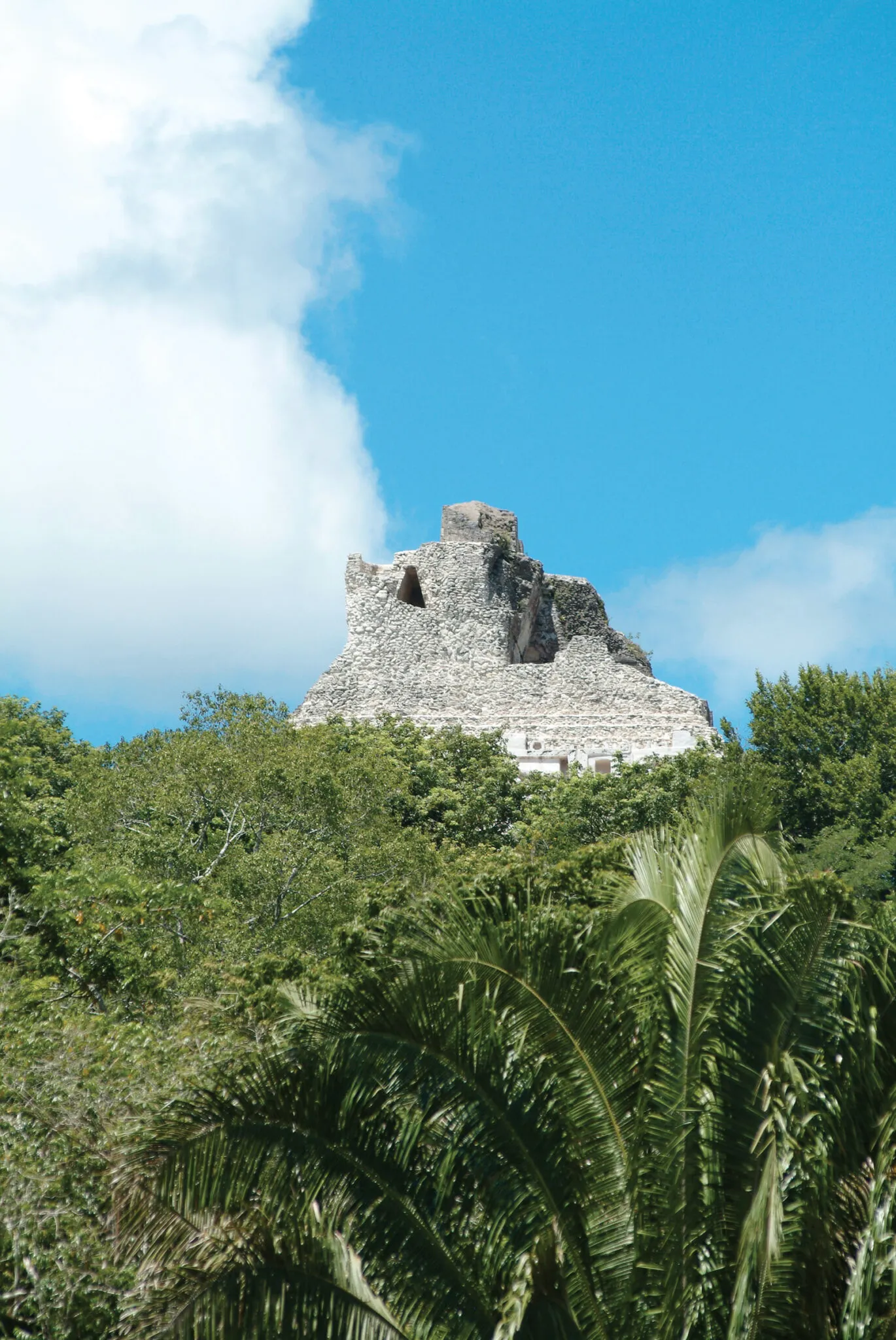 Ruins seen through the trees