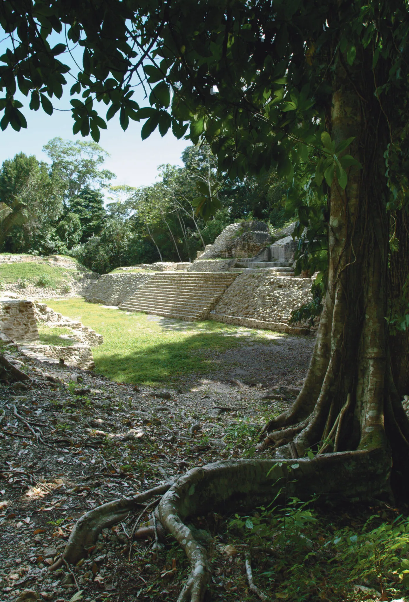 A view of the Myan ruins through the trees