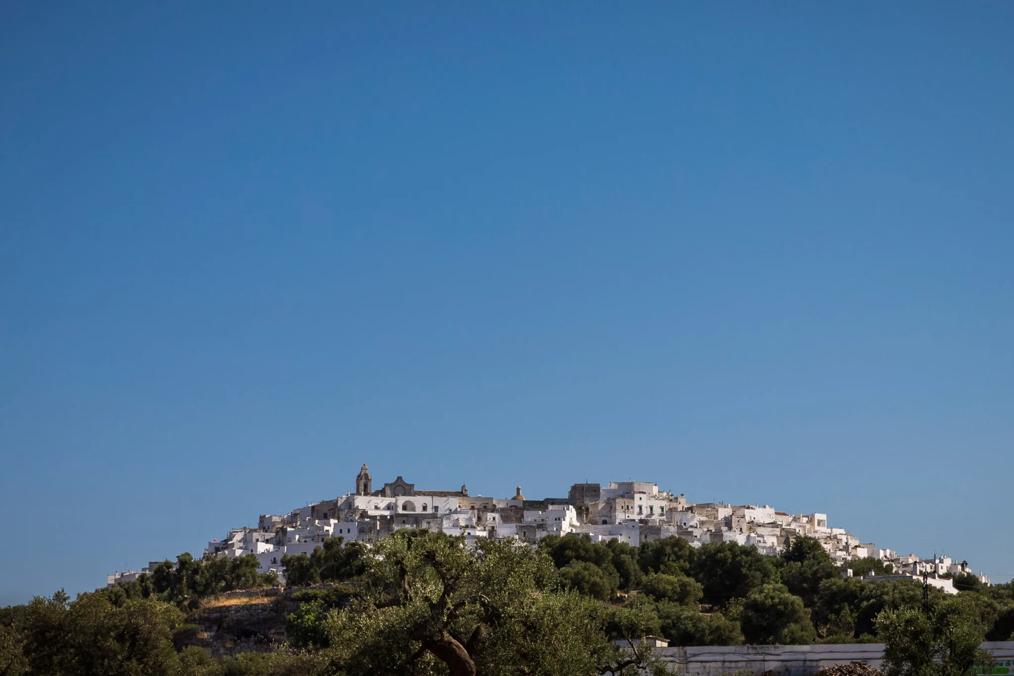 Looking up the hill at Ostuni