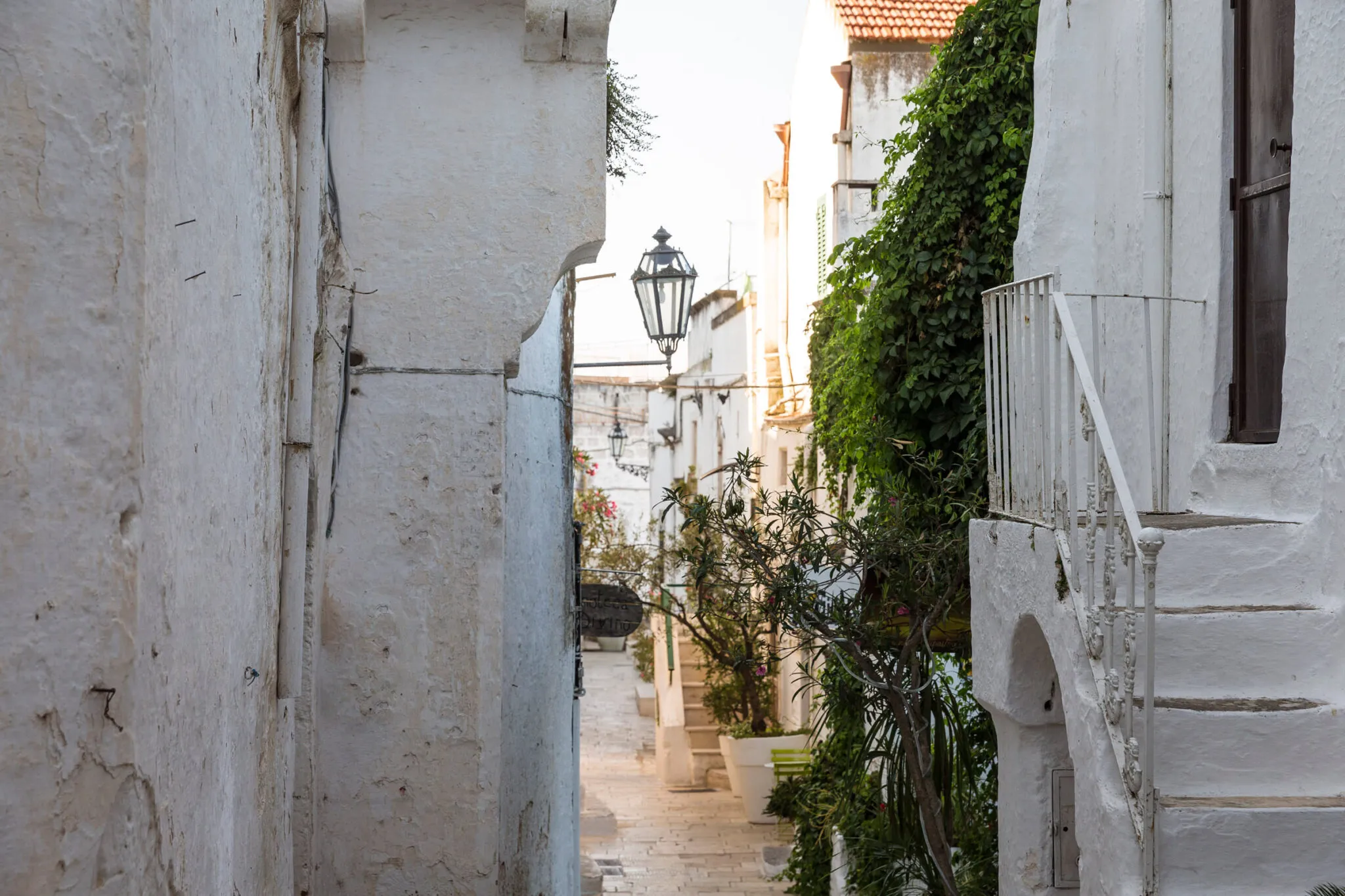 Plants growing outside of buildings on either side of a narrow walkway