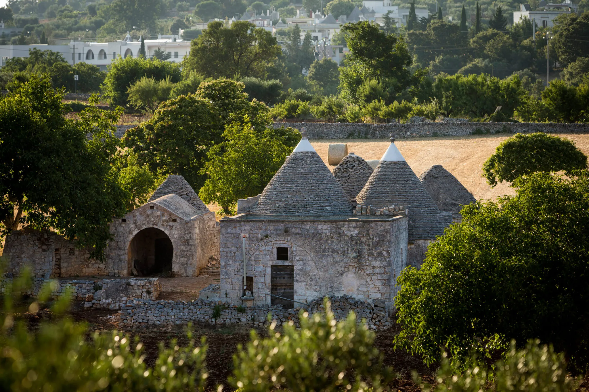 Stone houses with cone-shaped roofs in Valle d'Itria