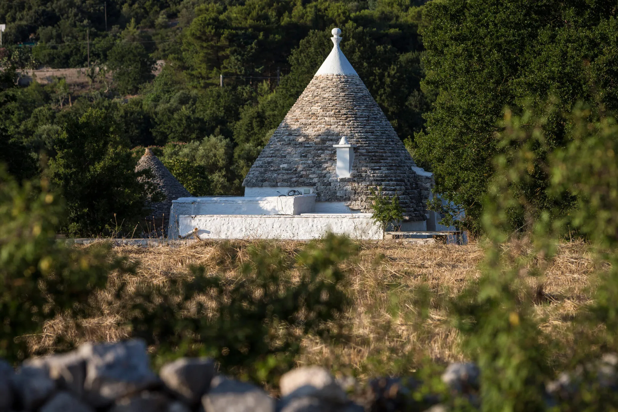 A conical roof in Valle d'Itria