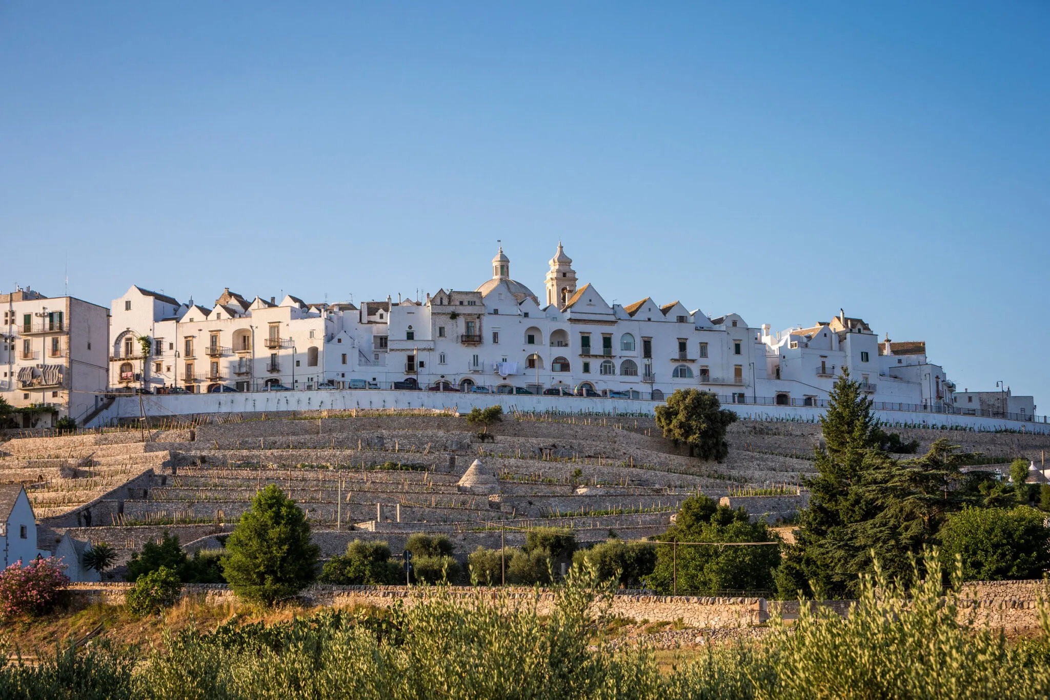 Crops growing up a hillside in front of a large white building