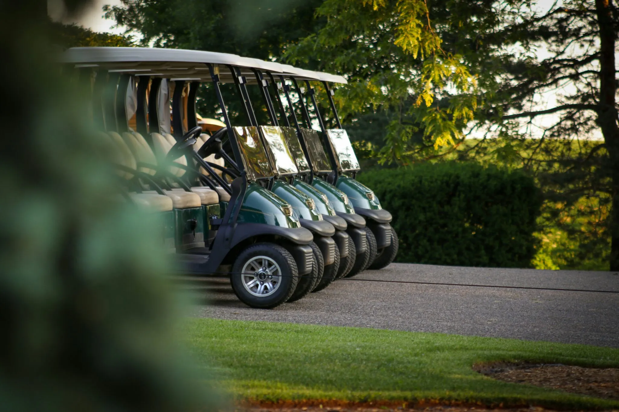 A row of parked golf carts